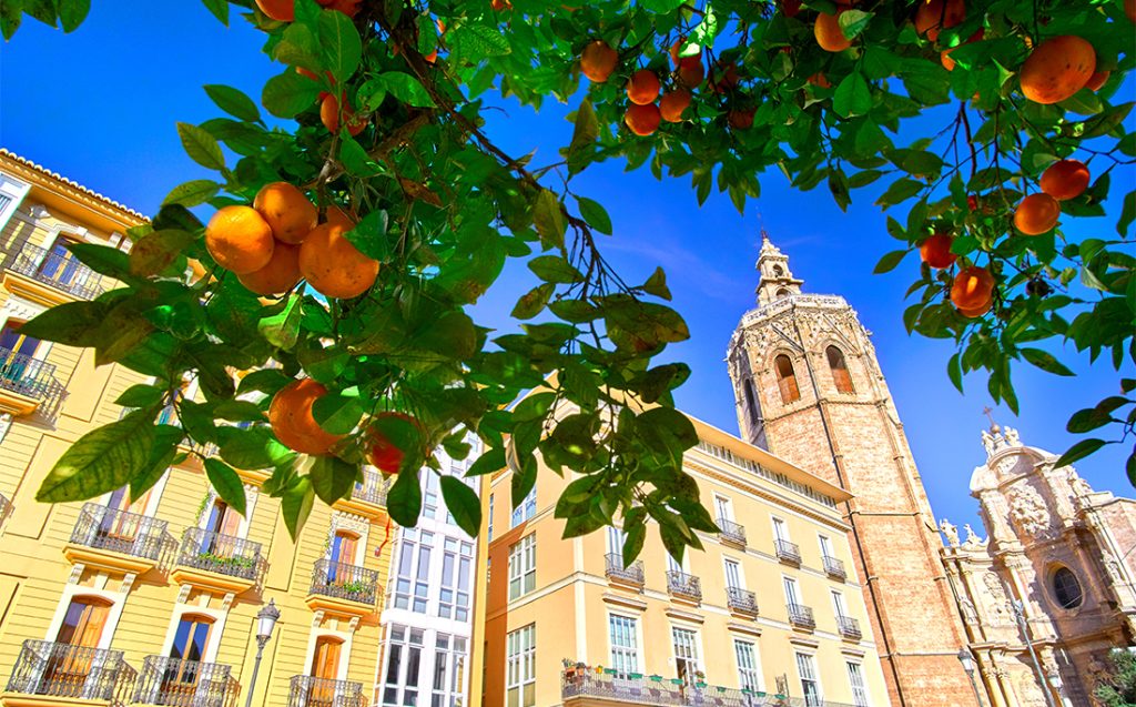 The Veles i Vents building in Valencia, Spain, at dawn
